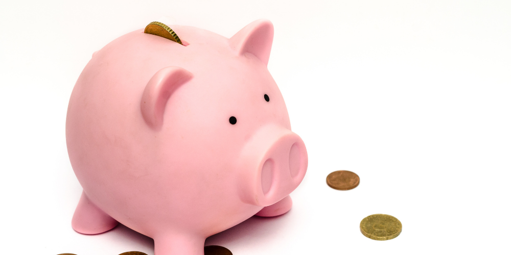Latest Investment Blog (Digicon S3)