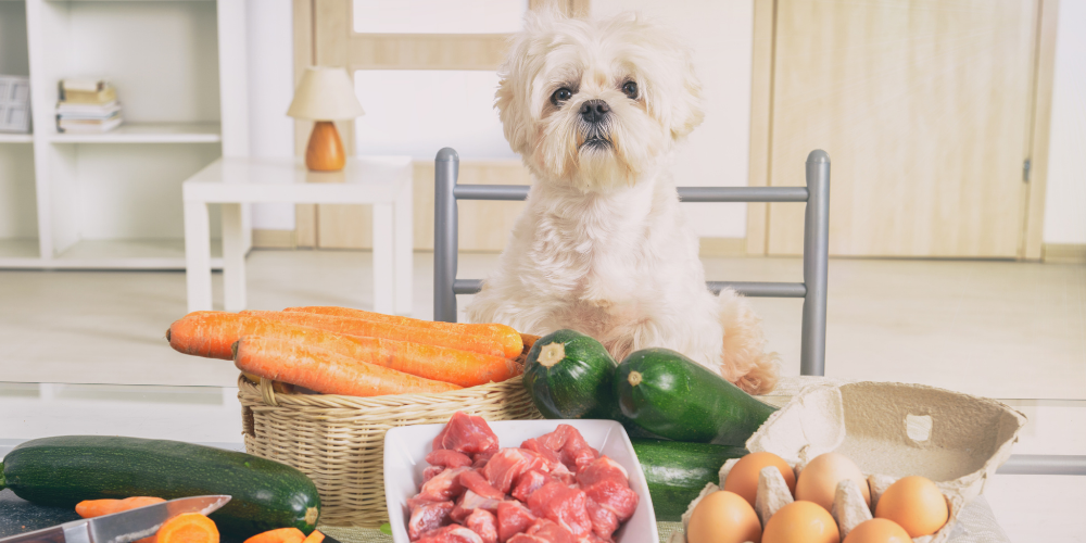 Secrets of a pet food label